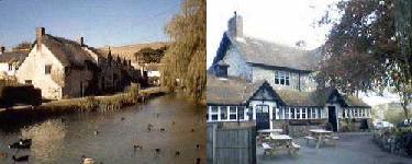 The village duck pond and the Springhead, Sutton Poyntz